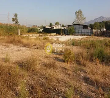 Golden Home Property Image