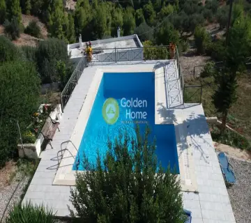 Golden Home Property Image