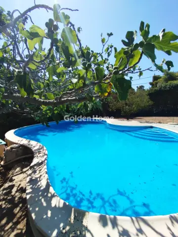 House 280m<sup>2</sup> for rent photo 2