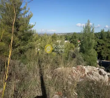 Residential 800m<sup>2</sup> for sale photo 1926461