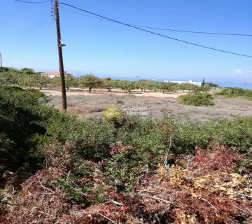Residential 4823m<sup>2</sup> for sale photo 8