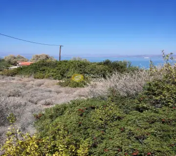 Residential 4823m<sup>2</sup> for sale photo 2