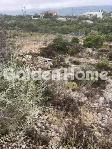 住宅 1060m<sup>2</sup> for sale photo 10