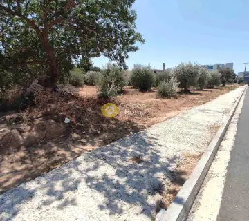 Residential 1513m<sup>2</sup> for sale photo 1
