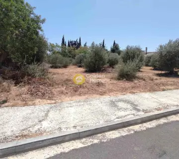 Residential 1513m<sup>2</sup> for sale photo 5