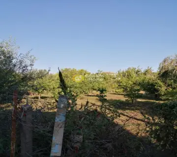 住宅 500m<sup>2</sup> for sale photo 1890049
