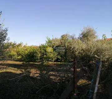 住宅 500m<sup>2</sup> for sale photo 1890051