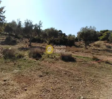 Residential 3500m<sup>2</sup> for sale photo 1