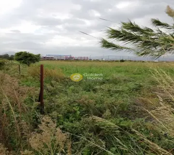 Επαγγελ. Οικόπεδο 21800τ.μ. προς πώληση φωτογραφία 2