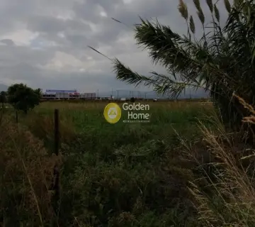 Επαγγελ. Οικόπεδο 21800τ.μ. προς πώληση φωτογραφία 3