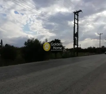 Επαγγελ. Οικόπεδο 21800τ.μ. προς πώληση φωτογραφία 5
