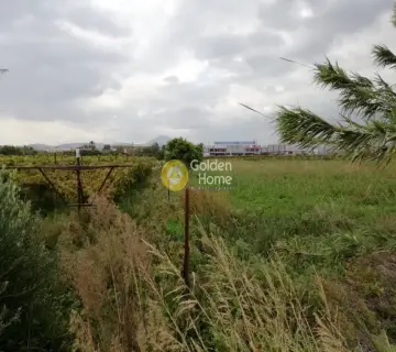 Επαγγελ. Οικόπεδο 21800τ.μ. προς πώληση φωτογραφία 4