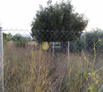 Οικιστικό 360τ.μ. προς πώληση φωτογραφία 7