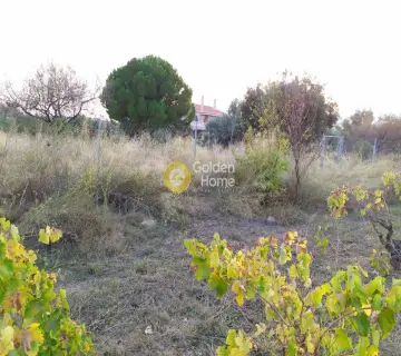 Οικιστικό 360τ.μ. προς πώληση φωτογραφία 9