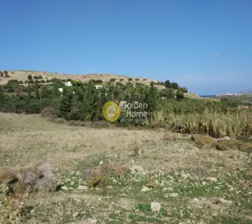 Area 14450m<sup>2</sup> for sale photo 3