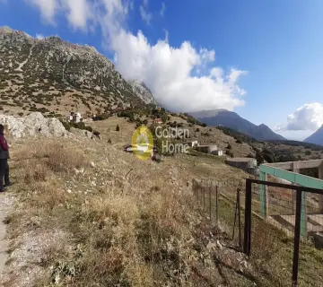 Golden Home Property Image