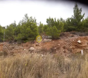Οικιστικό 1000τ.μ. προς πώληση φωτογραφία 5