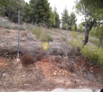 Οικιστικό 1000τ.μ. προς πώληση φωτογραφία 7