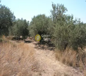 Residential 2700m<sup>2</sup> for sale photo 5
