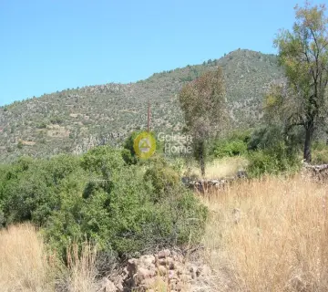 Residential 2700m<sup>2</sup> for sale photo 6