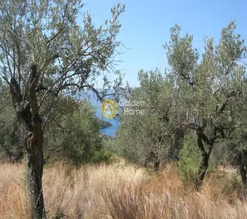 Residential 2700m<sup>2</sup> for sale photo 8