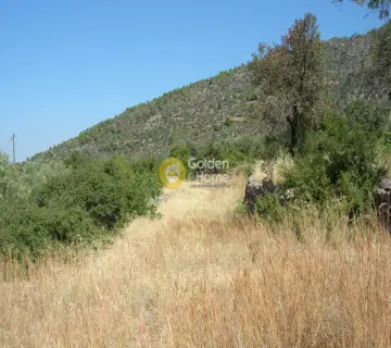 Residential 2700m<sup>2</sup> for sale photo 9