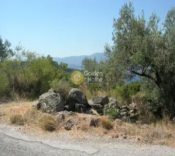 Residential 2700m<sup>2</sup> for sale photo 11