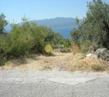 Residential 2700m<sup>2</sup> for sale photo 12