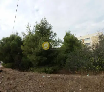 Οικιστικό 2405τ.μ. προς πώληση φωτογραφία 1