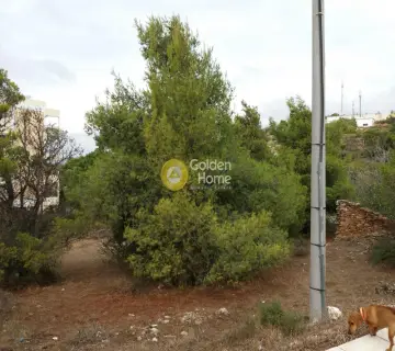 Οικιστικό 2405τ.μ. προς πώληση φωτογραφία 5