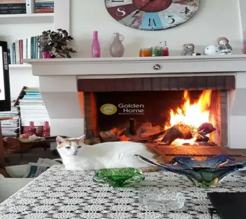 Golden Home Property Image