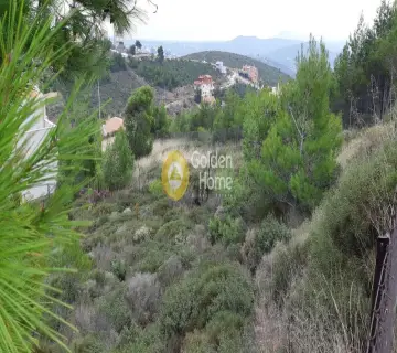 Golden Home Property Image