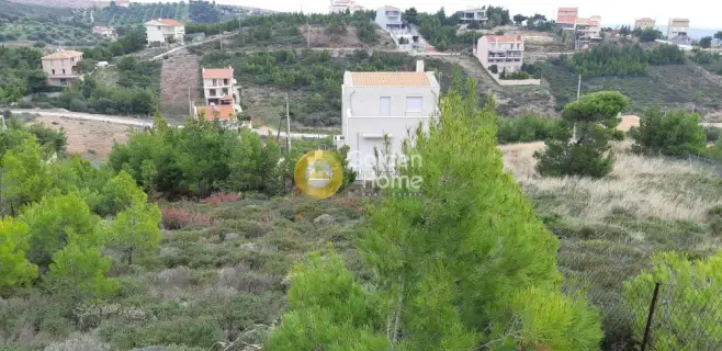 Residential 500m<sup>2</sup> for sale photo 1