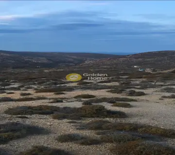 Οικιστικό 39500τ.μ. προς πώληση φωτογραφία 1911337