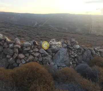 Οικιστικό 39500τ.μ. προς πώληση φωτογραφία 1911337