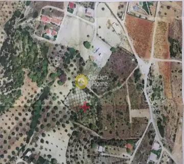 Οικιστικό 5153τ.μ. προς πώληση φωτογραφία 1