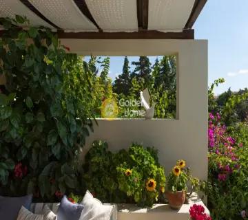 Golden Home Property Image