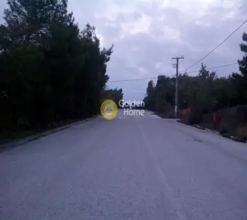 Οικιστικό 643τ.μ. προς πώληση φωτογραφία 7