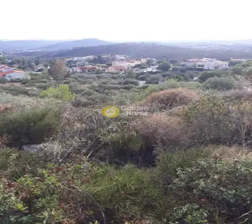 住宅 1000m<sup>2</sup> for sale photo 1