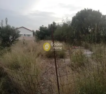 Professional Plot 420m<sup>2</sup> for sale photo 1