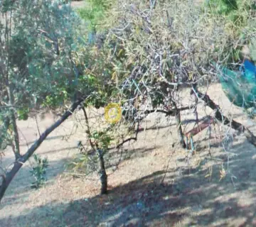 Residential 800m<sup>2</sup> for sale photo 3
