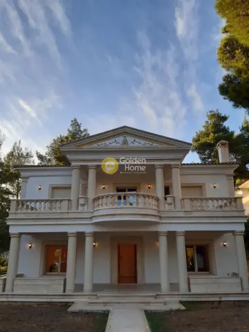 Μονοκατοικία 302τ.μ. προς πώληση φωτογραφία 39