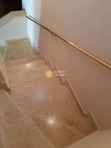 Μονοκατοικία 302τ.μ. προς πώληση φωτογραφία 5