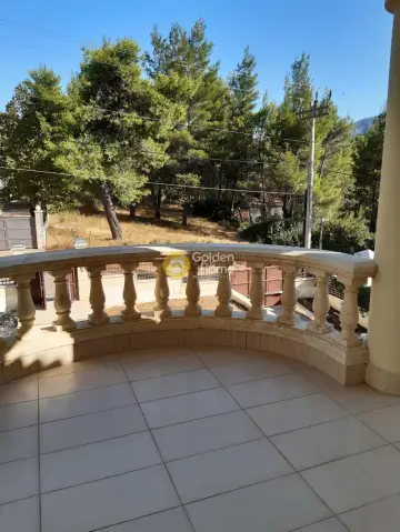 Μονοκατοικία 302τ.μ. προς πώληση φωτογραφία 11