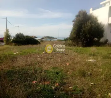 Professional Plot 2000m<sup>2</sup> for rent photo 1