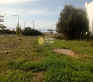Professional Plot 2000m<sup>2</sup> for rent photo 2