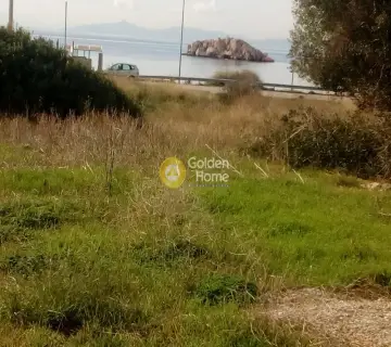 Professional Plot 2000m<sup>2</sup> for rent photo 3