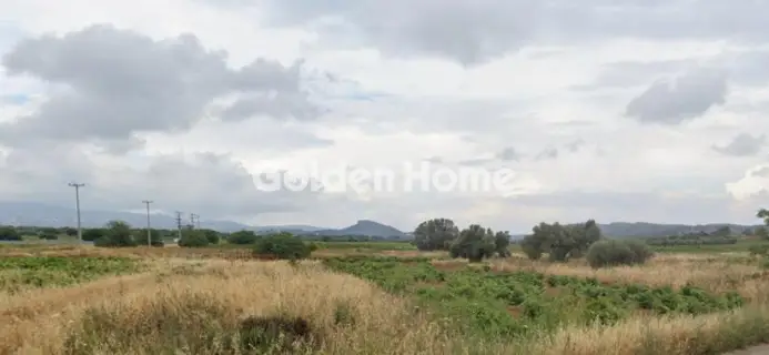 Professional Plot 3800m<sup>2</sup> for sale photo 1