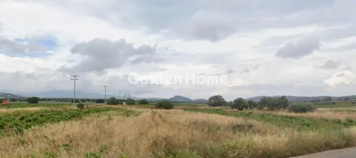 Professional Plot 3800m<sup>2</sup> for sale photo 3