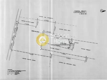 Professional Plot 5000m<sup>2</sup> for sale photo 3